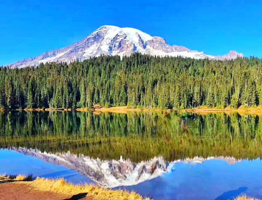 Seattle:Small Group Mount Rainier National Park 1-Day Tour - Summer itinerary: Longmire, Christine Falls, Narada Falls, and Paradise in a tight flow
