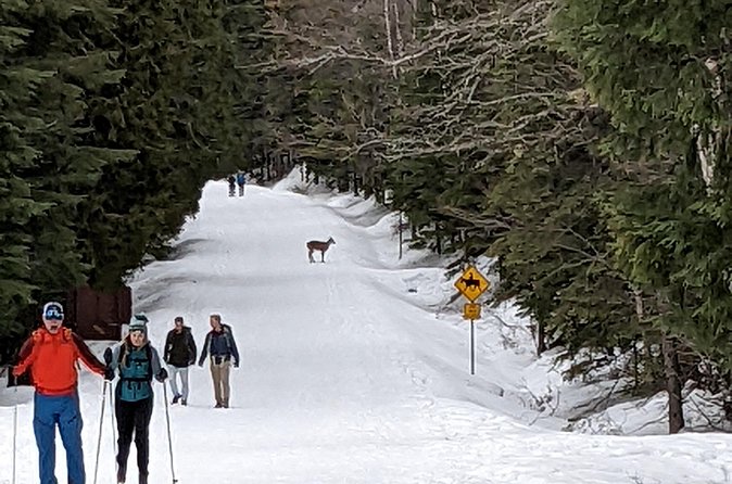 Shuttle to Snoqualmie Pass Ski and Snowboard - Riding up to Snoqualmie Pass: the route experience
