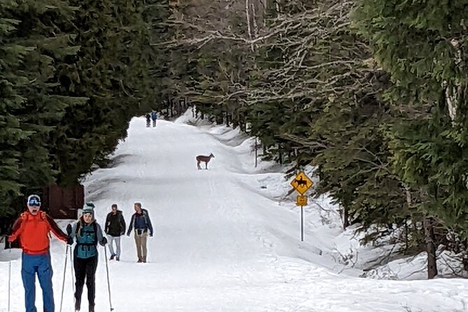 Shuttle to Snoqualmie Pass Ski and Snowboard - Alpental optional stop: when you’ll get the extra run