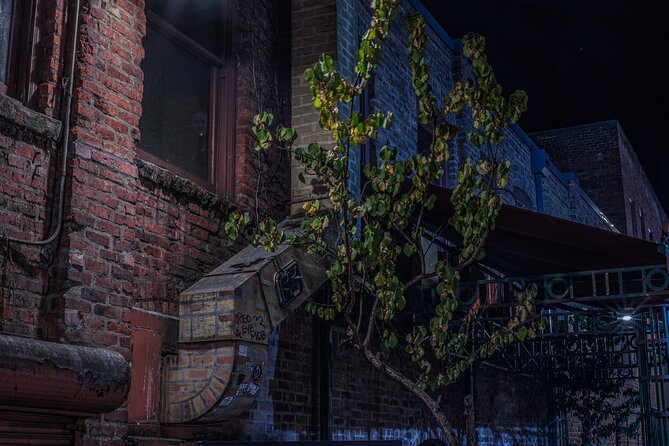 Sinister Sins, Scandal, and Shadows: Seattle Ghost Tour - Stop 4: A 1903 mortuary visit built for death