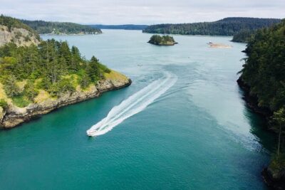Skagit Valley Birding + Deception Pass Day Tour From Seattle - Seattle pickup to Skagit Valley: your morning starts early