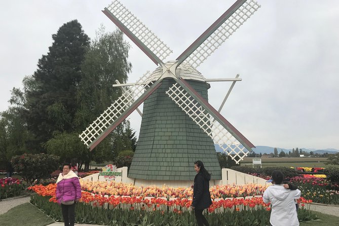 Skagit Valley Tulip Festival Day Tour from Seattle - Roozengaarde: formal garden vibes and mass tulip plantings