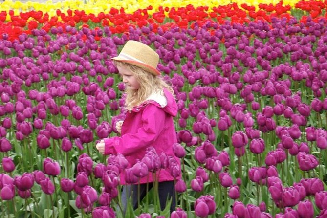 Skagit Valley Tulip Festival Day Tour from Seattle - Timing and weather: what to wear when tulips meet rain
