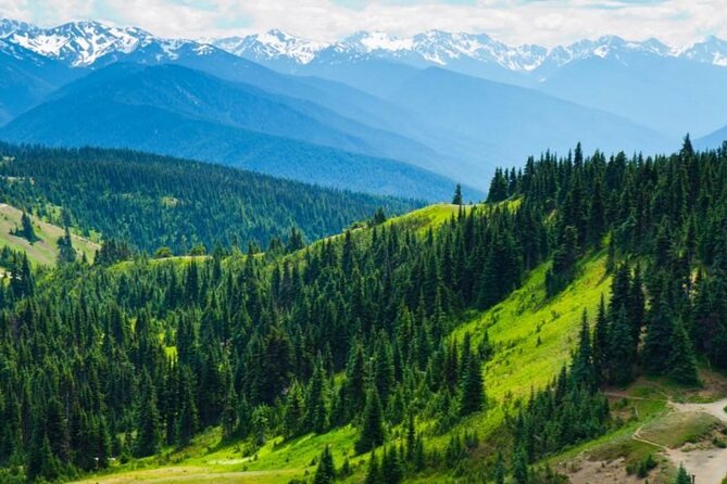 Small Group Olympic National Park Day Tour from Seattle 2CanGo - Key Highlights You’ll Notice on Day One