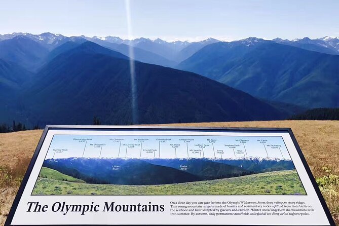 Small Group Olympic National Park Day Tour from Seattle 2CanGo - From Seattle to Olympic: How the Day Actually Flows
