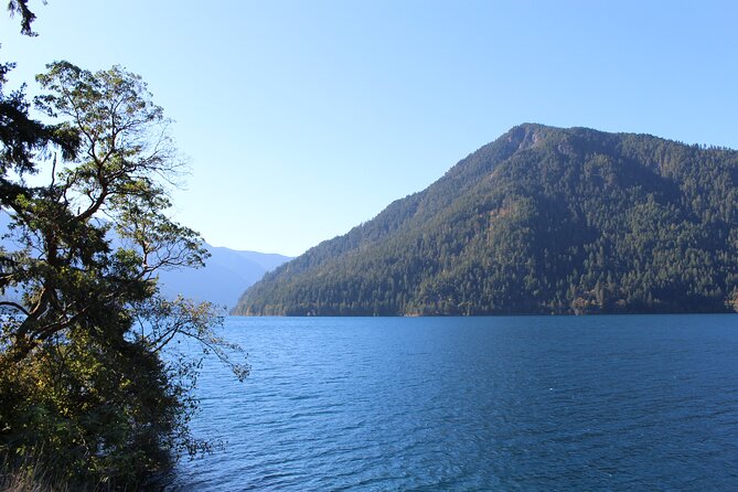 Small Group Olympic National Park Day Tour from Seattle 2CanGo - Guides, Van Comfort, and Why Small Group Matters