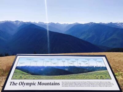 Small Group: Olympic National Park Day Tour From Seattle - Hurricane Ridge: 90 Minutes of Big Views and a Practical Time Budget