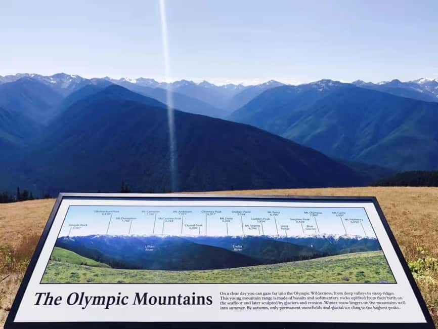 Small Group: Olympic National Park Day Tour From Seattle - Hurricane Ridge: 90 Minutes of Big Views and a Practical Time Budget