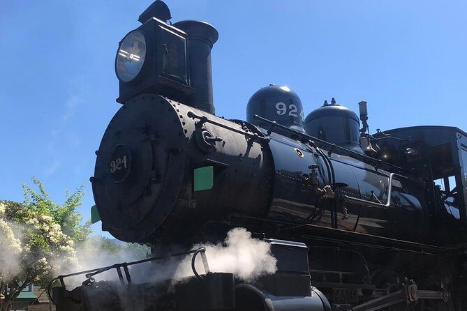 Snoqualmie Fall & Railway Museum 3-Hours (Private Tour) - Snoqualmie Historic Town: A Fast Look at Depot-Era Character