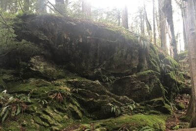 Snoqualmie falls and Twin Falls Hike - Snoqualmie Falls First: Ancient Rainforest Trail and Your Choice of Effort