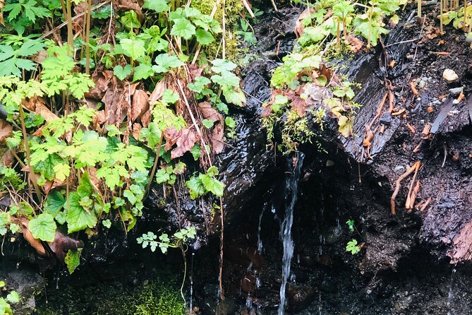 Snoqualmie falls and Twin Falls Hike - Weather Matters More Than You Think