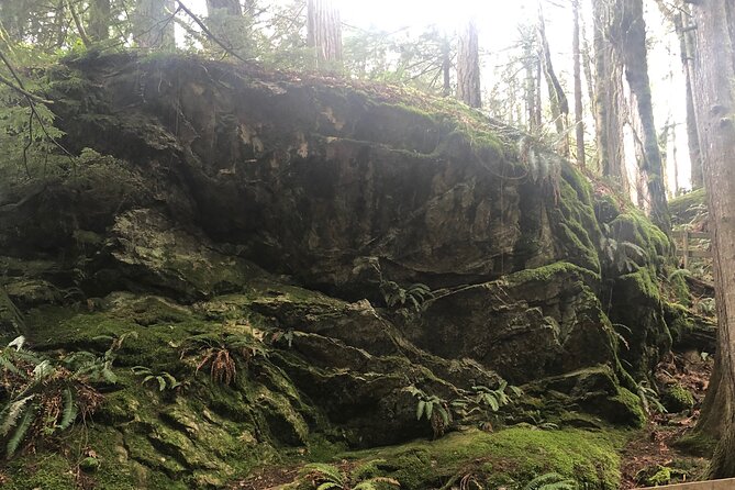 Snoqualmie falls and Twin Falls Hike - Snoqualmie Falls First: Ancient Rainforest Trail and Your Choice of Effort