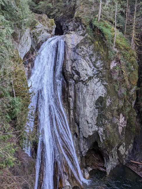 Snoqualmie, Twin Falls & Ancient Forest (Transport Included) - Key things to know before you go