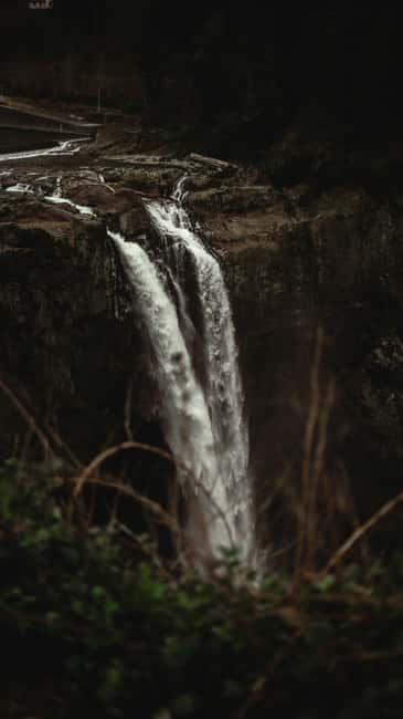 Snoqualmie, Twin Falls & Ancient Forest (Transport Included) - FAQ