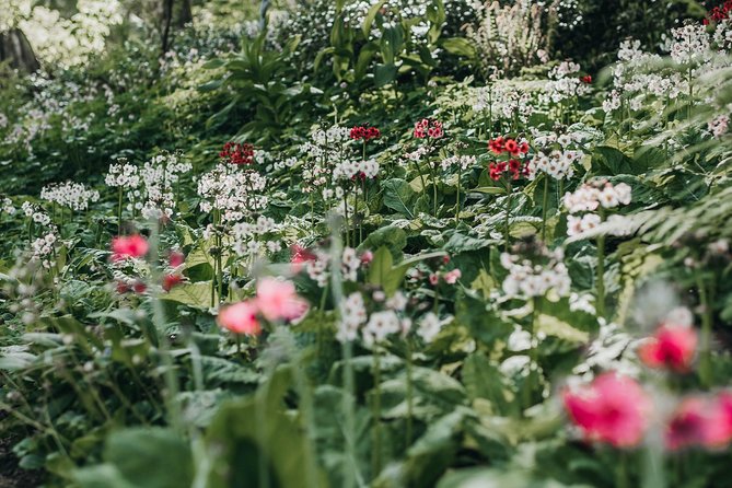 The Bloedel Reserve & Sightseeing - What you’re paying for: $299 with admission, transport, and snacks included