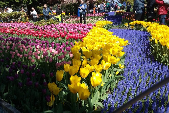 Tulip Festival and Skagit Valley Tour - Key Highlights You’ll Actually Care About