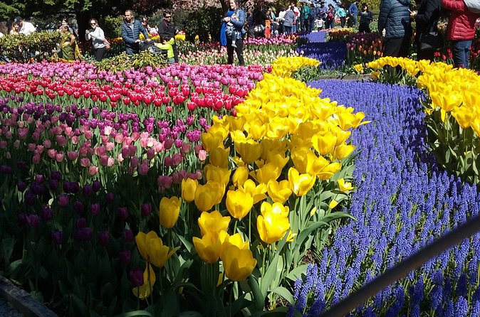 Tulip Festival and Skagit Valley Tour - Stop 2: Tulip Town’s Fair-Style Setup and Easy Photo Variety
