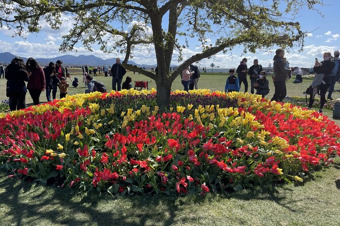 Tulip Festival in Skagit Valley Tour from Seattle - Price and what you actually get for $145