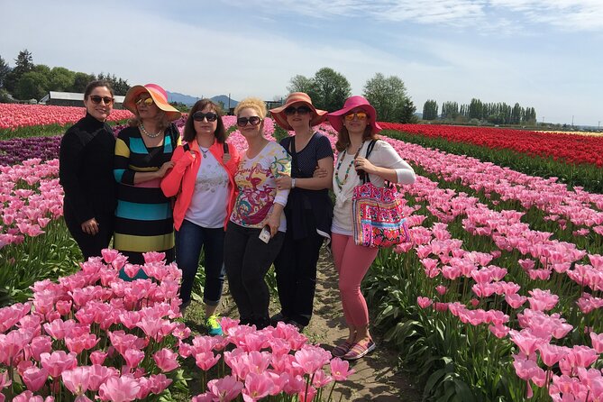 Tulip Festival in Skagit Valley Tour from Seattle - Marysville and Mount Vernon street-fair vibes