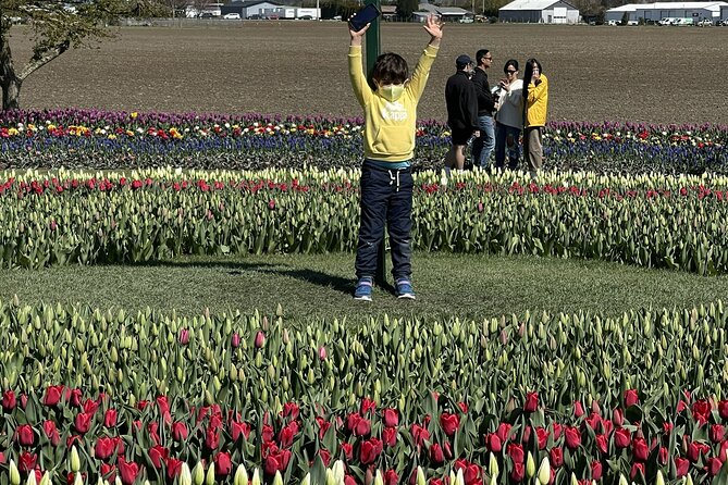 Tulip Festival in Skagit Valley Tour from Seattle - Snow geese near Mount Vernon: worth it when conditions line up