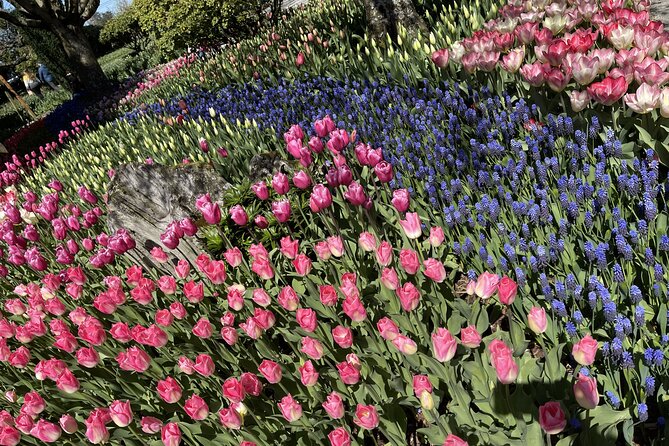 Tulip Festival in Skagit Valley Tour from Seattle - Seattle pickup to Everett: how the day gets you situated