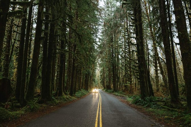Twilight Forks Washington Tour - Marymere Falls Nature Trail: What You Get in the Time Allotted