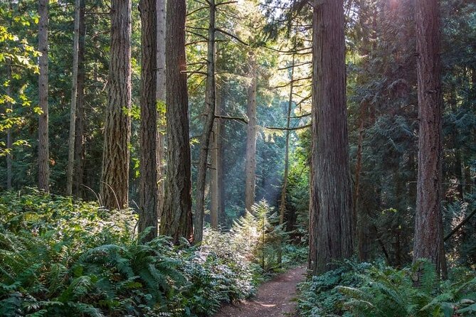 Visit Snoqualmie and Hike to Twin Falls (Transportation included) - The hike to Twin Falls: what the trail is like in real terms
