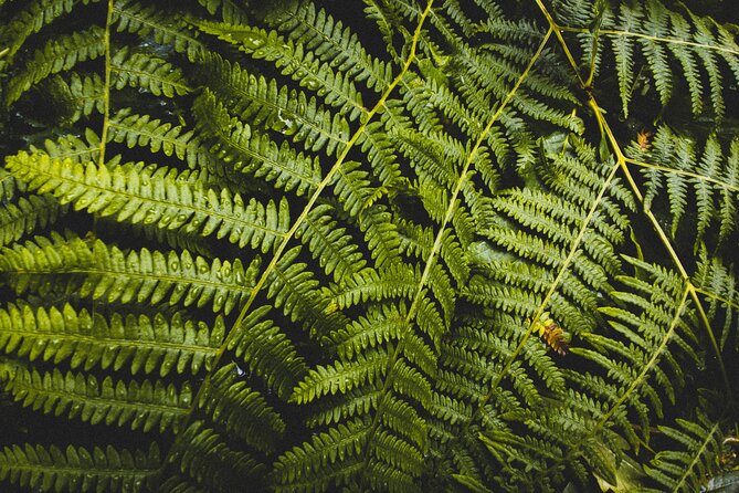 Visit Snoqualmie and Hike to Twin Falls (Transportation included) - How Jonny’s guiding style changes the whole experience