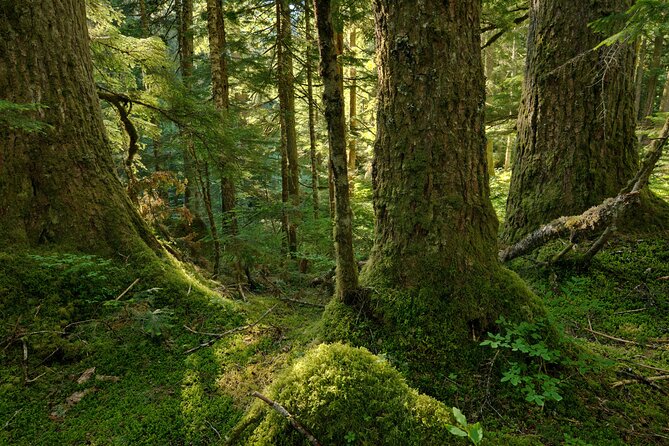 Visit Snoqualmie and Hike to Twin Falls (Transportation included) - Round-trip value: what you’re paying for (and what’s free)