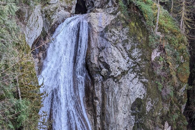 Visit Snoqualmie waterfall and an old forest (Transport Included) - How Hard Is This Walk, Really?