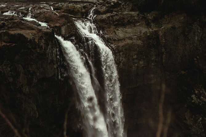 Visit Snoqualmie waterfall and an old forest (Transport Included) - Price and Value for a Seattle Waterfall Day Trip