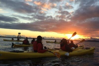 West Seattle Sunset Sea Kayak Tour - Timing and route: Elliott Bay waterfront to a downtown skyline sunset