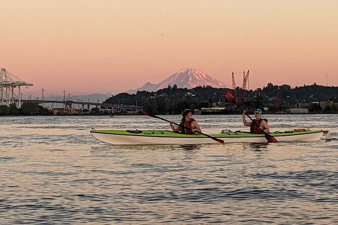 West Seattle Sunset Sea Kayak Tour - Wildlife near the Duwamish River: nature without leaving the city