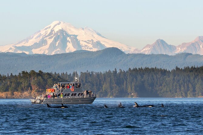 Whale Watching + Deception Pass Tour from Seattle - How this 10.5-hour plan works (and why it’s set up for convenience)