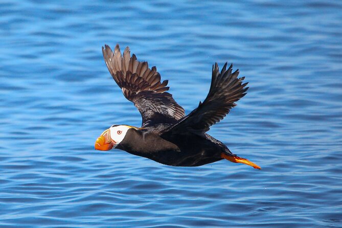 Whale Watching + Deception Pass Tour from Seattle - What to pack for wind, wet decks, and shoreline walking