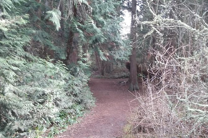 Whidbey Island Deception Pass Private SUV Tour - Stop 2: Admiralty Head Lighthouse and the best kind of photo stop