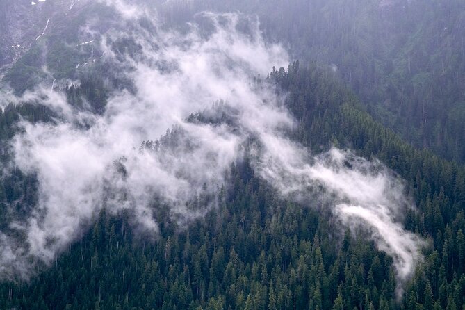 Winter Day Tour to Longmire on Mount Rainier from Seattle - Weather, snow walking, and what to pack so the day feels good